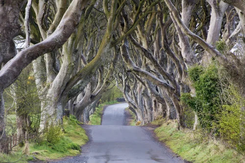 6 Must-visit Game of Thrones Filming Locations to add to your Travel Bucketlist