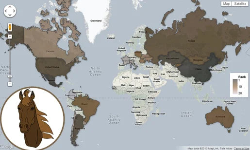 Top 20 Horse Meat Producers in the World: Map