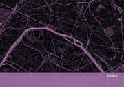 LS01557_S_MATTP - Paris City Street Map Print Mauve