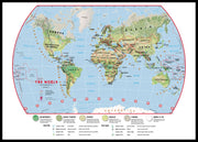WM00415_L_LBDBL - Primary World Wall Map Environmental